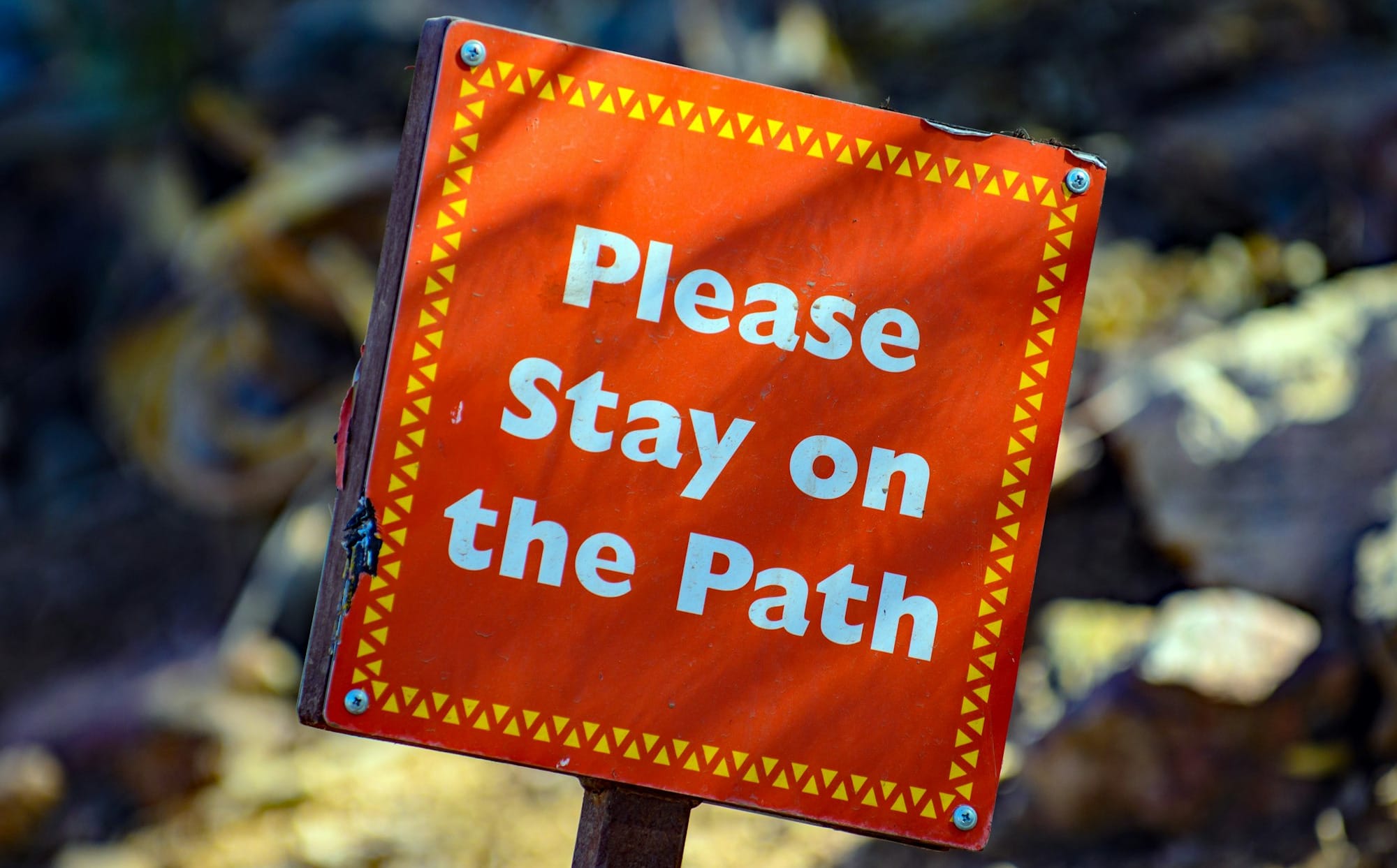please stay on the path signage