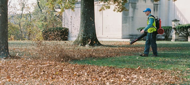 Leaf blowers, industrial culture, and the Great I Am (part 2)